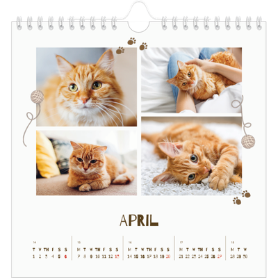 Square calendars  — Playful kitten [April]