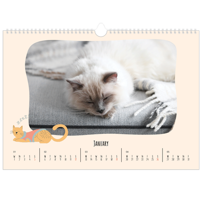 A3 Photo Calendar — Cat paws and doodles [January]
