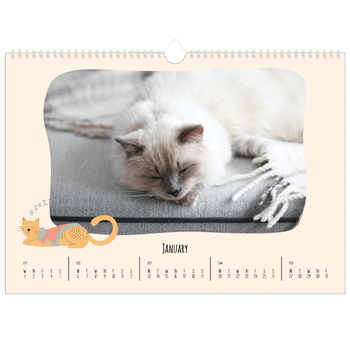 A3 Landscape Photo Calendar — Cat paws and doodles
