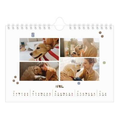 A5 Landscape Photo Calendar — Playful puppy [April]
