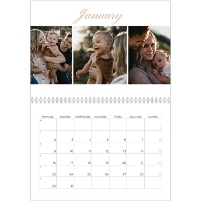 A4 Double Photo Calendar — Photo strip boxes [January]
