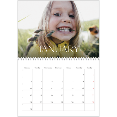 A4 Double Photo Calendar — Twelve big months [January]
