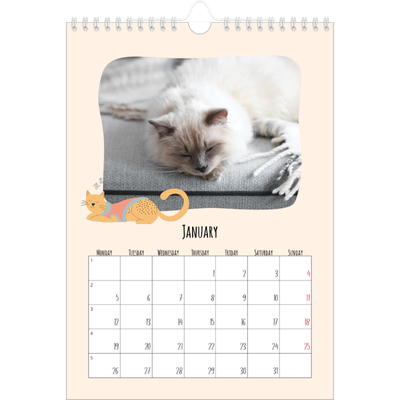 A4 Photo Calendar — Cat paws and doodles [January]