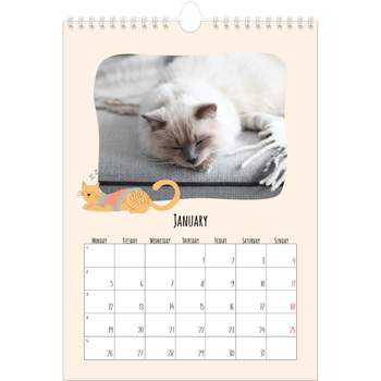 A4 Photo Calendar — Cat paws and doodles