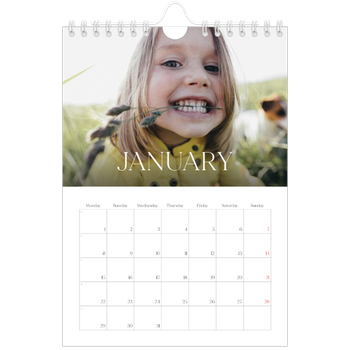 A5 portrait — Twelve big months