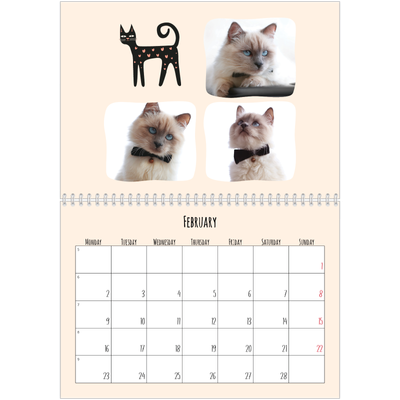 A4 Double Photo Calendar — Cat paws and doodles [February]