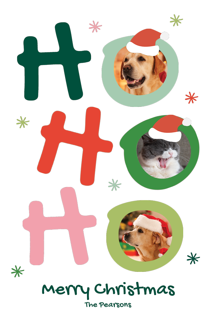 Cards — Santa dog & cat
