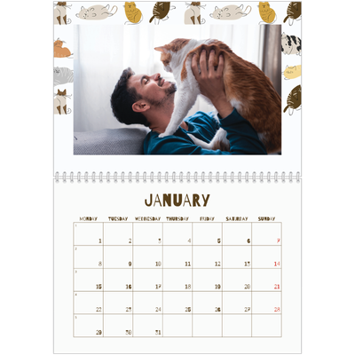 A4 Double Photo Calendar — Playful kitten [January]