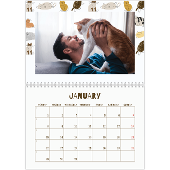 A4 Double Photo Calendar — Playful kitten