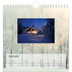 Square calendars  — Back to nature [February]