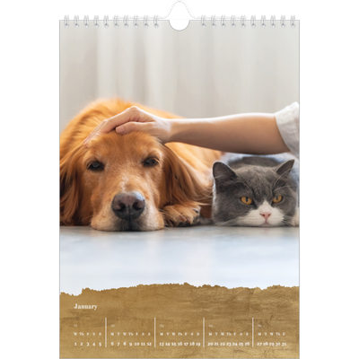 A4 Photo Calendar — Classic Gold [January]