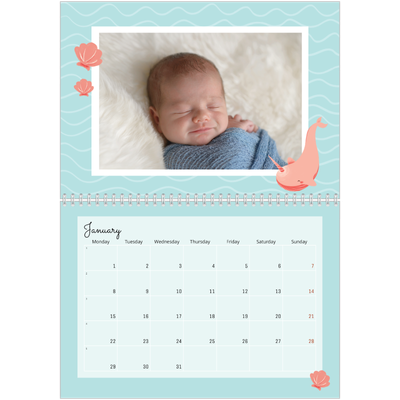 A4 Double Photo Calendar — Cute animals [January]