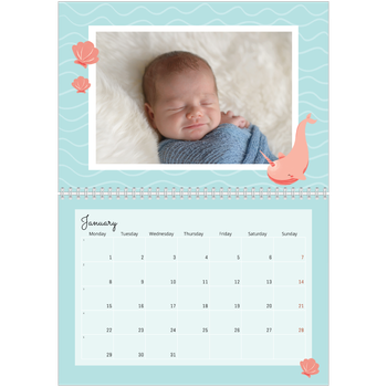 A4 Double Photo Calendar — Cute animals