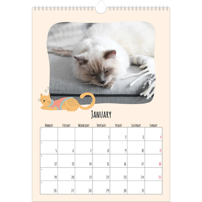 A3 photo calendars — Cat paws and doodles [January]