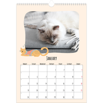 A3 Photo Calendar — Cat paws and doodles