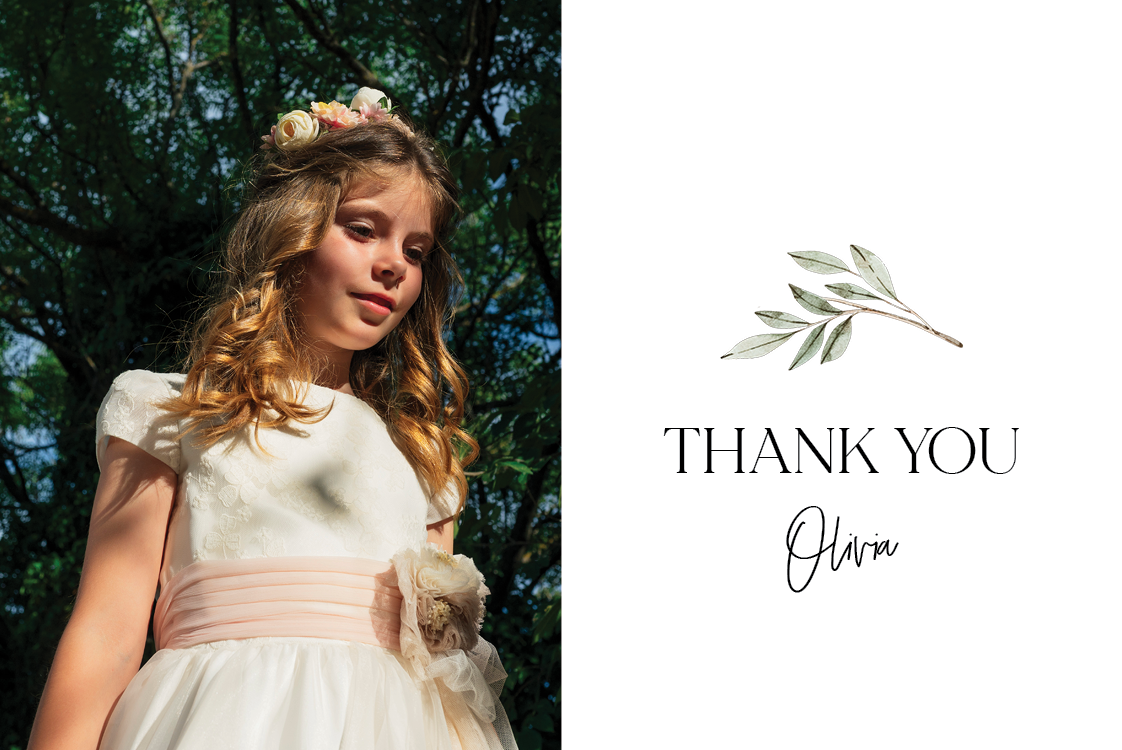 Thank you cards — Olive branches