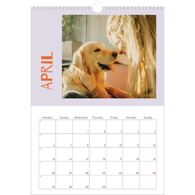 A3 photo calendars — Fun colourful you [April]