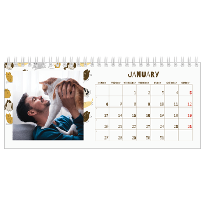 Desk calendars — Playful kitten [January]