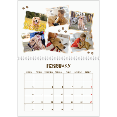 A4 Double Photo Calendar — Playful puppy [February]
