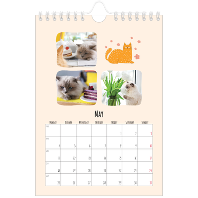 A5 Photo Calendar — Cat paws and doodles [cover]