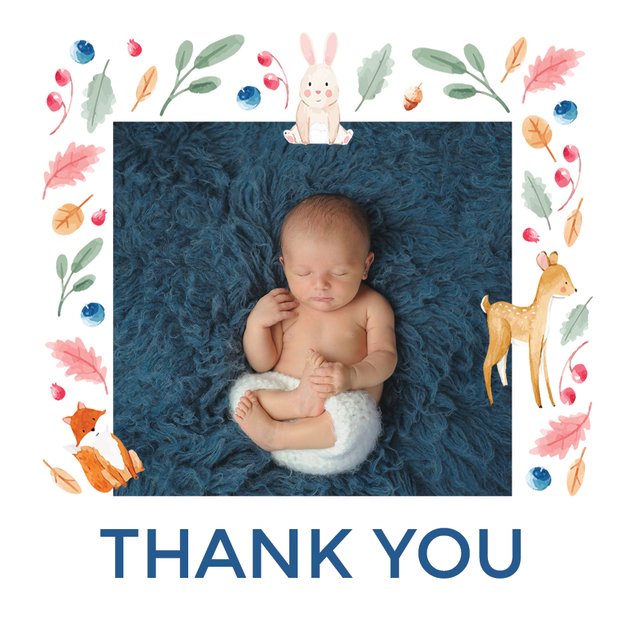 Thank you cards — Forest animal wallpaper