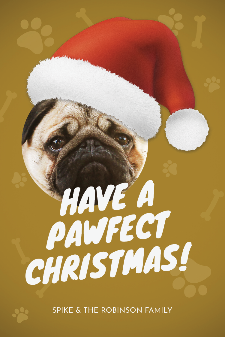 Cards — The pawfect Christmas