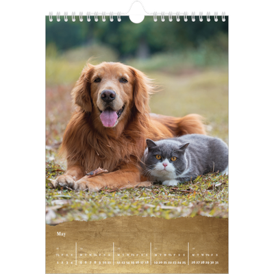 A4 Photo Calendar — Classic Gold [cover]