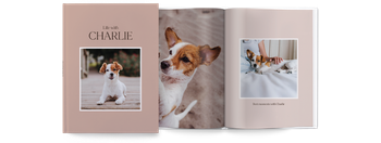 Photo Books — Stylish dog