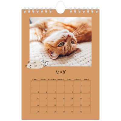 A5 Photo Calendar — Playful kitten [cover]