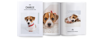 Photo Books — Puppy portrait