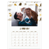 A3 photo calendars — Playful kitten [January]