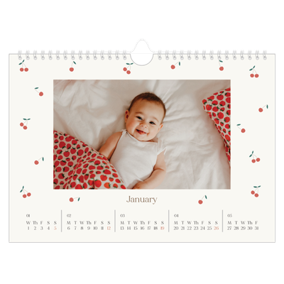 A4 Landscape Photo Calendar — Cherry bliss [January]