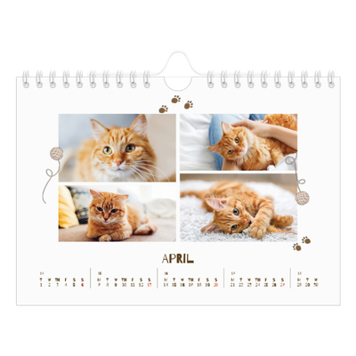 A5 Landscape Photo Calendar — Playful kitten [April]