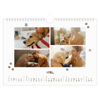 A4 Landscape Photo Calendar — Playful puppy [April]