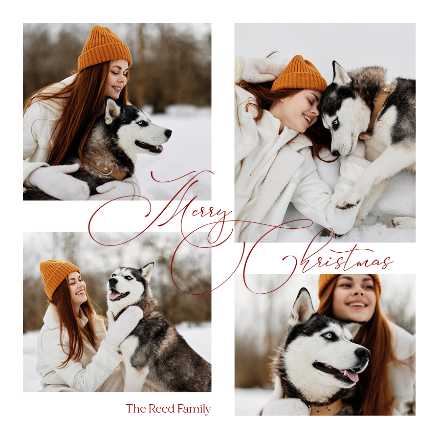 Cards — Snowy whispers