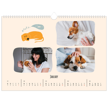 A3 Landscape Photo Calendar — Dog paws and doodles