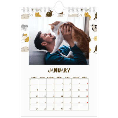 A5 Photo Calendar — Playful kitten [January]