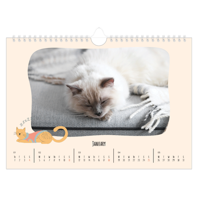 A4 Landscape Photo Calendar — Cat paws and doodles [January]