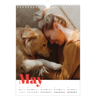 A4 Photo Calendar — A bold year [cover]