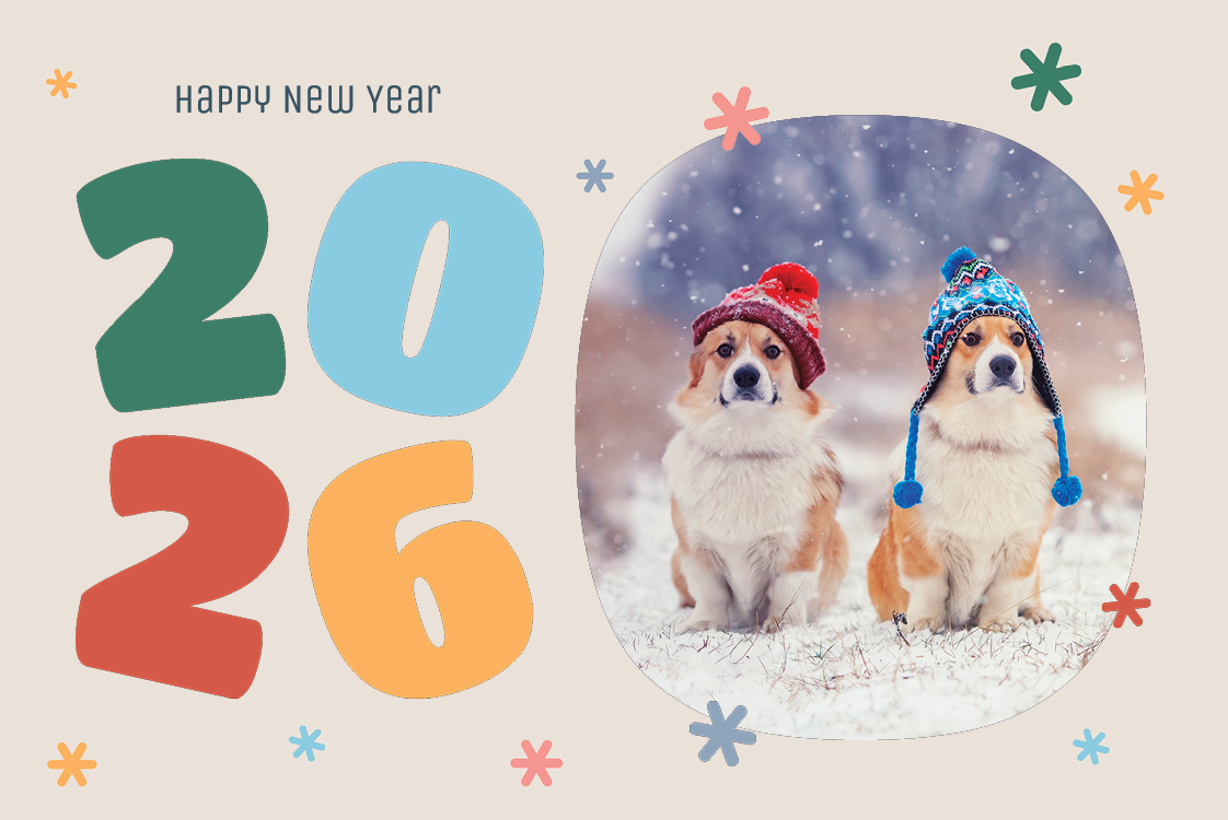 Cards — Flurry of colour