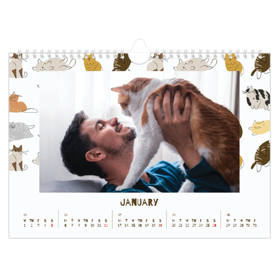 A4 Landscape Photo Calendar — Playful kitten [January]