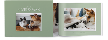 Photo Books — Stylish cat & dog