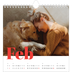 Square calendars  — A bold year [February]