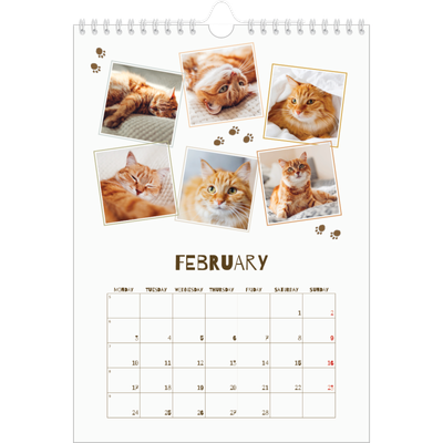 A4 Photo Calendar — Playful kitten [February]