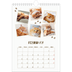 A4 Photo Calendar — Playful kitten [February]