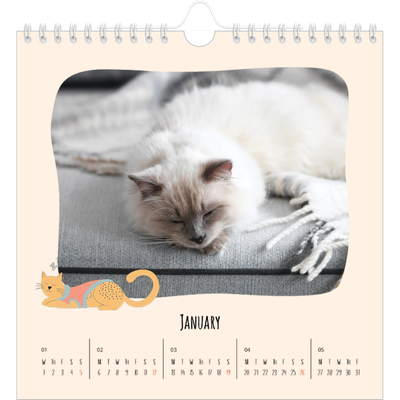 Square calendars  — Cat paws and doodles [January]