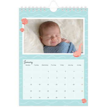 A5 portrait — Cute animals