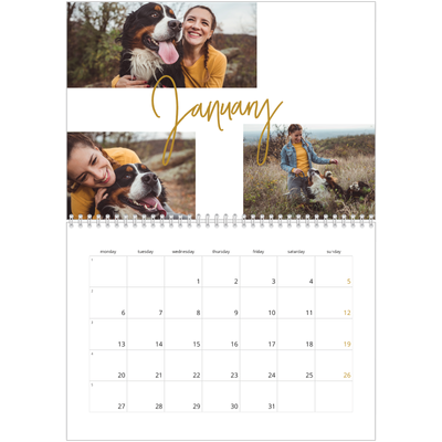 A4 Double Photo Calendar — Gold marker pen [January]