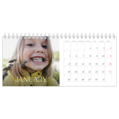 Desk calendars — Twelve big months [January]